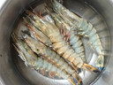 鲜京采 巨型黑虎虾 去冰净重3斤 24-30只/盒 源头直发 包邮 实拍图