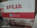 伊利【新鲜日期】谷粒多生牛乳五红 200ml*16盒 礼盒装  实拍图