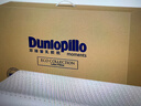 邓禄普（Dunlopillo）ECO低波浪枕 斯里兰卡进口天然乳胶枕头  颈椎枕  实拍图