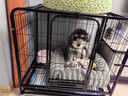 贝初众狗笼大中小型犬带厕所一体狗笼子狗窝大型笼柯基泰迪狗笼宠物笼子 78*54*70cm【适用30斤内狗狗】 【加粗方管】材质升级 实拍图