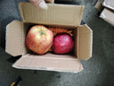 2025年现摘现发甘肃天水花牛苹果新鲜红蛇果粉面生鲜脆甜多汁A14 带箱1斤  果径65-70mm 实拍图