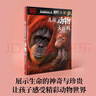DK儿童动物大百科 实拍图