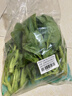 京鲜生 新鲜芥蓝 芥兰 湖南出品  600g 简装 新鲜蔬菜  实拍图