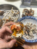 【活蟹】龙行大闸蟹现货鲜活螃蟹去绳足重特大公母河蟹海鲜礼盒装 全母蟹2.3-2.6两  12只 实拍图