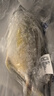 北海湾 金鲳鱼 新鲜海捕大鲳鱼海鲜平鱼冷冻扁鱼冰鲜大鲳鱼海鱼银鱼鱼类 【净重400-500克/条】 共4条 实拍图