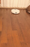 石头（roborock）扫地机器人 P20 Ultra Plus 扫拖洗烘一体机 自动集尘热水洗拖布擦地拖地洗地机吸尘器 A2250RR 实拍图