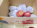 京鲜生 甘肃天水花牛苹果 又大又红 净重10斤 单果200g以上 新鲜水果  实拍图