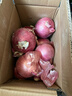 京鲜生 甘肃紫红皮洋葱净重5斤单果200g+ 现挖新鲜蔬菜 源头直发包邮 实拍图