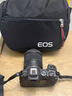 佳能r8 微单相机全画幅专微 4K视频EOSR8专业微单 下单抽拉布布&金豆 R8单机身+24-105 STM单包镜【标准变焦】 套餐四【拍套四免费升级套餐五 配件升级不加价】 实拍图