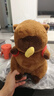 熊猫熊卡皮巴拉玩偶水豚噜噜公仔毛绒玩具布娃娃哪吒土拨鼠生日礼物女生 实拍图