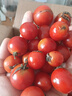 千禧圣女果新鲜小番茄樱桃小柿子孕妇水果现摘现发新鲜蔬菜 新鲜圣女果 3斤 带箱 实拍图