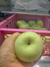 京地达山西青苹果 净重4.5斤单果120g起小苹果现摘酸甜脆爽源头直发包邮 实拍图