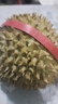 榴恋莱新鲜泰国进口金枕榴莲水果鲜榴莲时令 巴掌新鲜榴莲水果 精选3-4斤装 实拍图