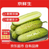 京鲜生 山东童年旱黄瓜 净重5斤 单果100g+ 水果小青瓜 轻食 源头直发 实拍图