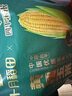 十月稻田 四平黄糯玉米 3.52斤(220g*8根)东北玉米棒 低脂早餐 零食 实拍图