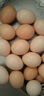 鲜鸡蛋草鸡蛋五谷喂养农家散养山林自养鸡蛋超市买菜 鲜鸡蛋8枚320g【泡沫防撞带箱】 实拍图
