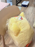 名创优品（MINISO）dundun鸡毛绒公仔墩墩鸡玩偶抱枕玩具送儿童女友生日礼物女 大号 实拍图