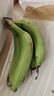 高山精品甜蕉现摘新鲜水果香蕉孕妇宝宝辅食搭配丫丫生鲜特产 1斤装【青蕉发货】 实拍图