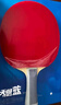 红双喜DHS一星横拍双面反胶乒乓球拍单拍成品兵兵拍H1002 实拍图
