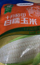 十月稻田 白糯玉米 4.16斤(260g*8根) 东北甜黏玉米棒 早餐苞米 低脂代餐 实拍图