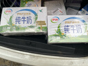 伊利纯牛奶整箱 250ml*24盒 优质乳蛋白 严选牧场 礼盒装 8月底产 实拍图