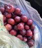 九寨沟红脆李400g  实拍图