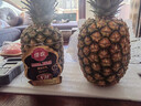 佳农 黑钻菠萝1粒装 菲律宾凤梨 净重2斤起 生鲜水果 源头直发 包邮 实拍图