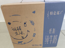 蒙牛【新鲜日期】特仑苏低脂纯牛奶250ml×16盒  健身减脂 送礼盒装 实拍图