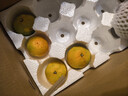 京觅浙江台州涌泉蜜桔 净重2.5斤 单果55mm+ 柑橘子水果礼盒 源头直发 实拍图