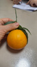 【热销】湖北秭归脐橙鲜果上市 净重9斤70-75m 实拍图