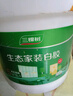 三棵树漆（SKSHU） 三棵树生态白胶水性健康白乳胶强力胶高粘力板材家具木工手工 环保型白胶【净重3kg】+刷子 实拍图
