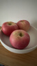 京鲜生 陕西洛川苹果红富士12粒 单果180-220g 生鲜水果 实拍图