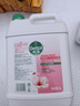 滴露（Dettol）洗手液补充装大桶消毒滋润5L 儿童家庭装杀菌护手 实拍图