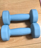 朗威哑铃女士哑铃套装组合小学儿童小哑铃练臂肌塑形初学健身家用器材 【纯铁】水蓝色-2kg*2只 1KG 起【健身塑型】 实拍图
