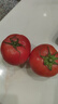 京鲜生 山东海阳普罗旺斯净重4.5斤单果150g起新鲜沙瓤西红柿源头直发 实拍图