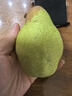 京地达东北茄梨 放软吃酸甜净重4.5斤单果150g+大头梨啤梨源头直发包邮 实拍图