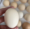 1号会员店富硒鲜鸡蛋30枚 源头直发 净重3斤 实拍图
