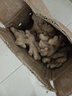 产地直发云南小黄姜新鲜生姜黄姜调味料新鲜蔬菜生鲜 3斤 装 实拍图