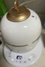 小熊 燕窝炖盅  隔水炖 炖燕窝花胶专用 炖盅陶瓷内胆煲汤养生锅电炖盅送女友实用礼物DDZ-C06A1 恒温泡发 0.6L 实拍图