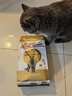 皇家猫粮 英短成猫粮 BS34 通用粮 12月以上 2KG 实拍图