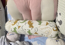 babycare婴儿安抚枕头宝宝多功能抱枕透气枕头6月-6岁-比奇角恐龙39*12cm 实拍图
