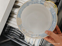 浩雅24头碗碟套装景德镇陶瓷餐具套装碗盘碗碟盘餐具套装时光漫步 实拍图