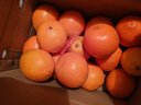 集南鲜 赣南脐橙 江西橙子新鲜现摘水果脐橙时令生鲜水果甜橙 水果礼盒 净重9斤 甄选橙 单果70-80mm 实拍图