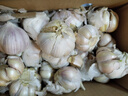 精选新鲜山东大蒜干蒜多瓣蒜头蔬菜批发产地直发大蒜头 优选 3斤 (果径≥3.5cm) 实拍图