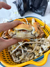 【活蟹】阳澄联合鲜活大闸蟹现货全母2.0-2.3两 6只生鲜螃蟹大只去绳足重海鲜礼盒 实拍图