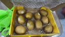 佳沛（zespri）新西兰  阳光金奇异果10粒礼盒巨大果单果约144-175g 水果 猕猴桃 实拍图