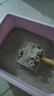 甜浪海金属猫砂铲非不锈钢猫屎铲细孔小孔猫咪铲屎神器猫砂盆铲宠物用品 实拍图