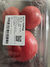 番茄约500g 实拍图