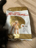 皇家狗粮 贵宾成犬狗粮 犬粮 宠物小型犬 PD30 全价犬粮 10月-8岁 3KG 实拍图