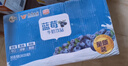 风行牛奶 蓝莓风味牛奶饮品 200ml*12盒 牛奶礼盒装 送礼佳品 实拍图